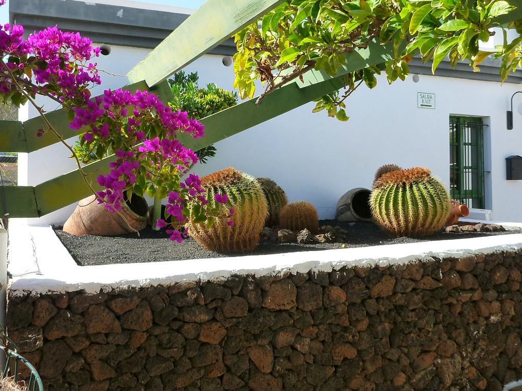 Apartamentos Guacimeta Matagorda  Eksteriør billede
